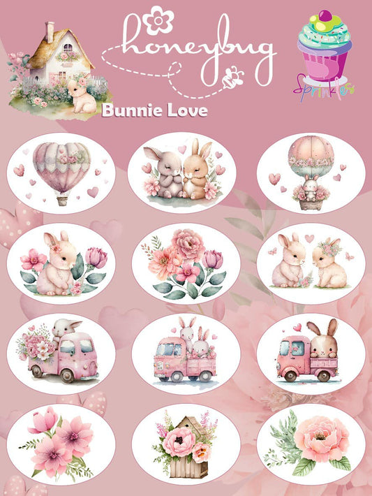 Honeybug Bunnie Love Sprinkles Sweetheart Pacifier-Dummy Stickers Reborn Baby