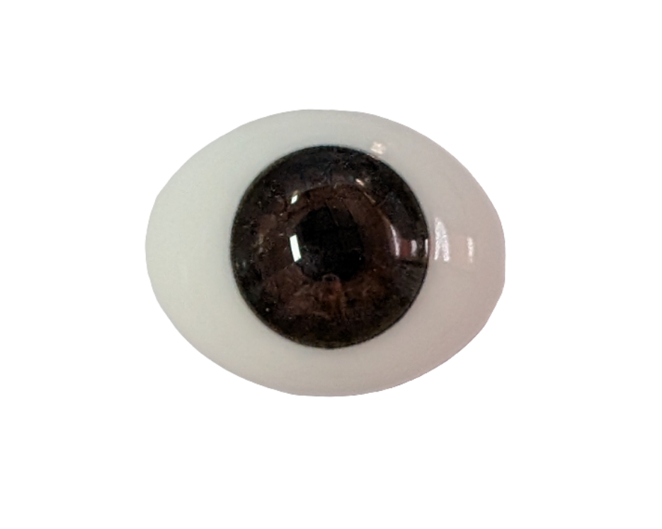 20mm Brown Oval Glass Eye Reborn Baby Doll Making Supplies