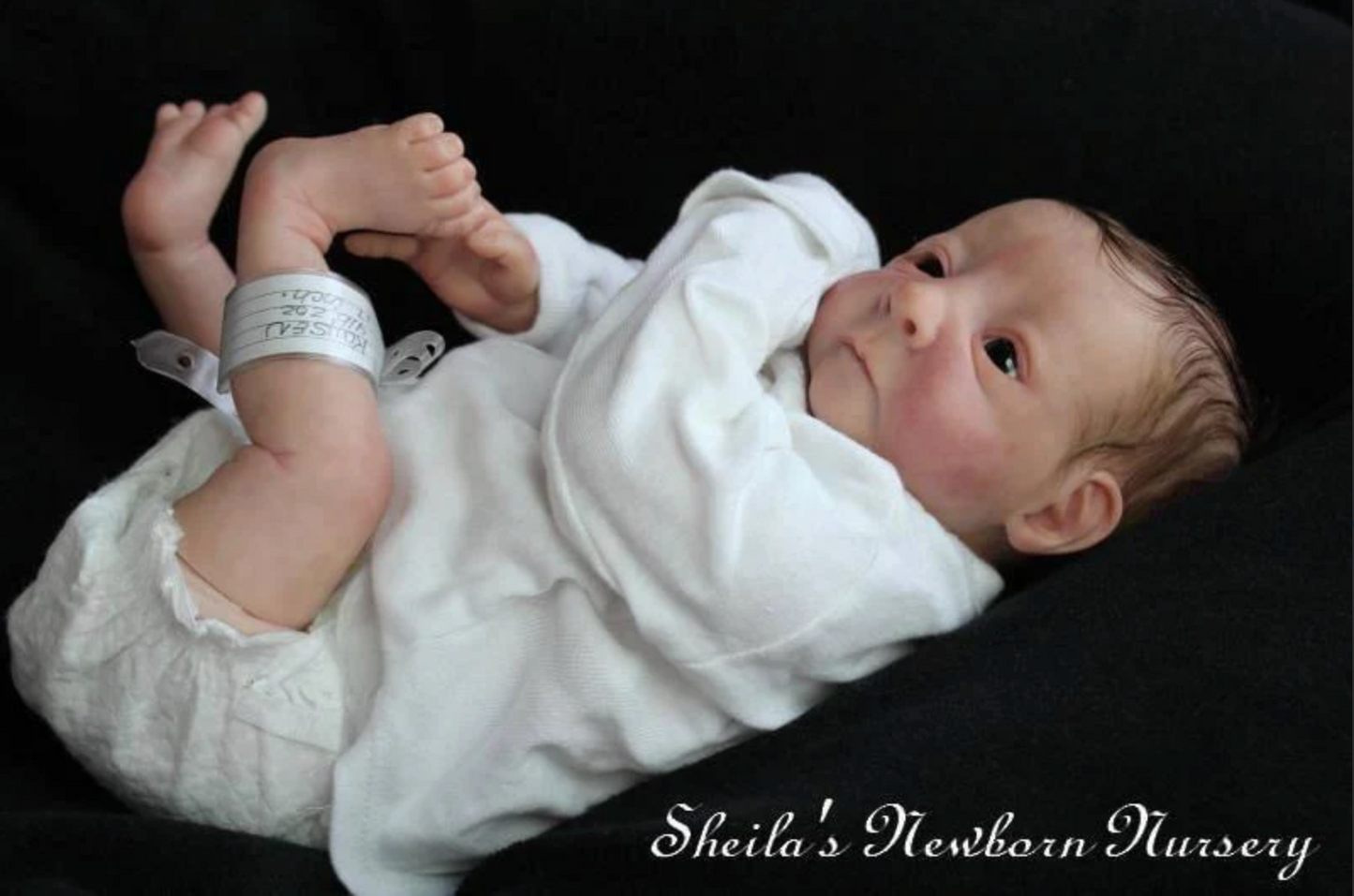 Kaysen by Bobbi Perez 17" KIT ONLY Reborn Baby UNPAINTED