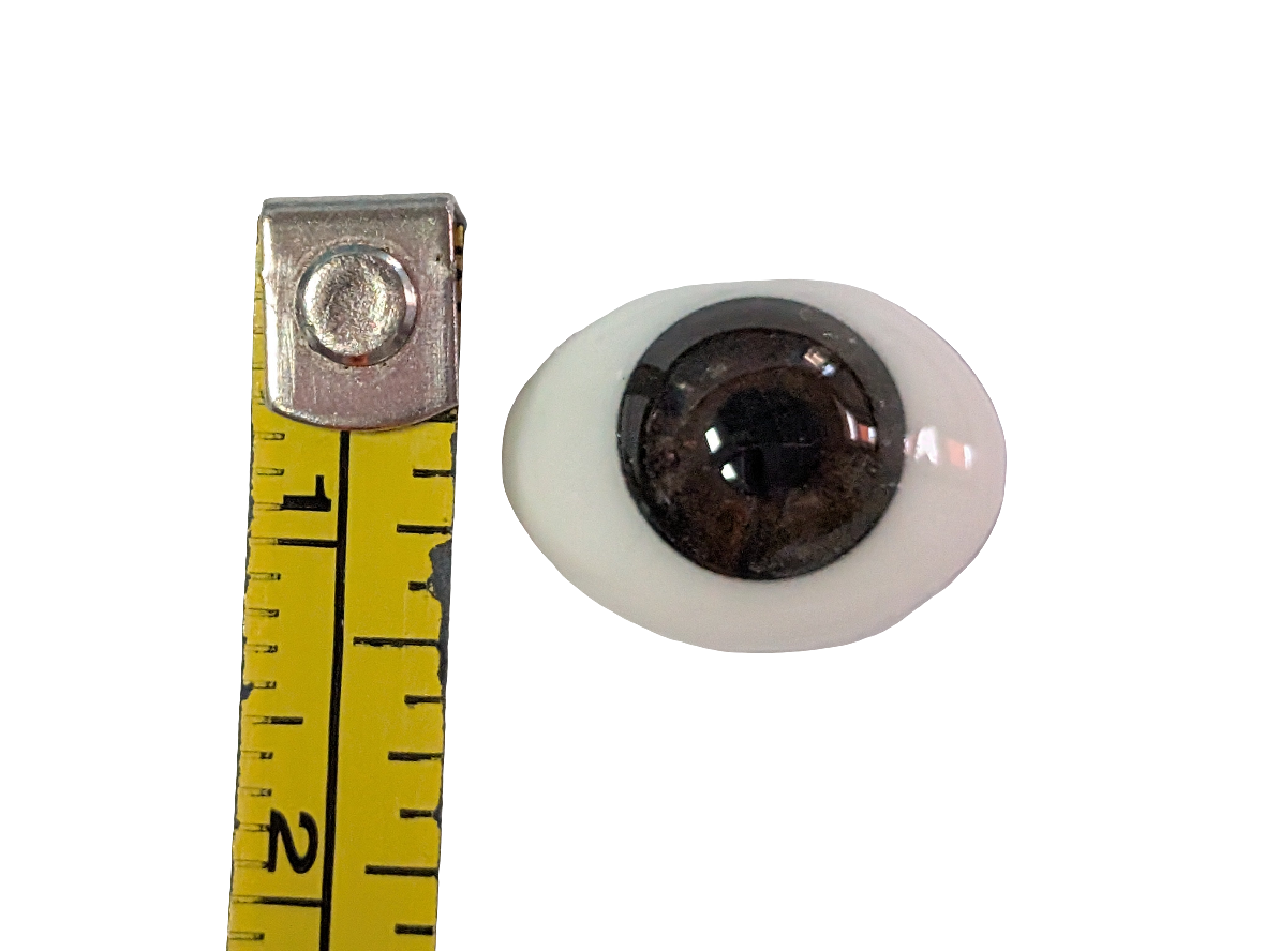 14mm Brown Oval Glass Eyes Reborn Baby Doll Making Supplies