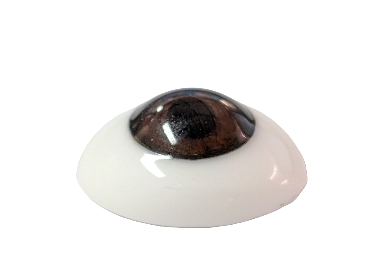 20mm Brown Oval Glass Eye Reborn Baby Doll Making Supplies