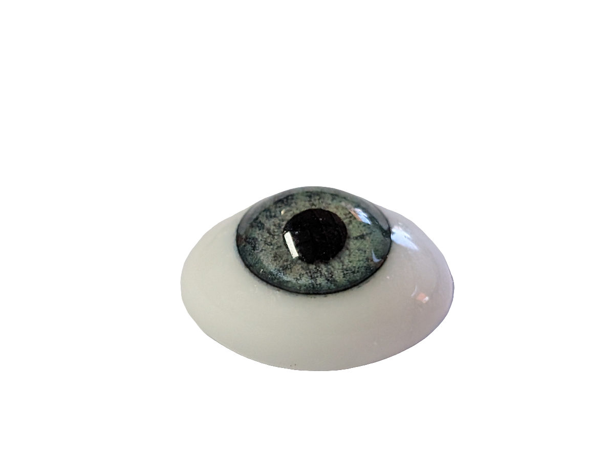 16mm Meadow Green Oval Glass Eyes Reborn Baby Doll Making Supplies