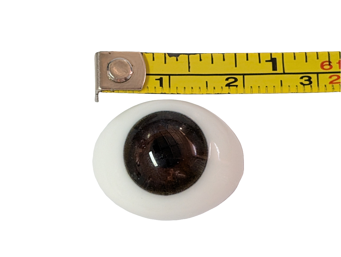 20mm Brown Oval Glass Eye Reborn Baby Doll Making Supplies