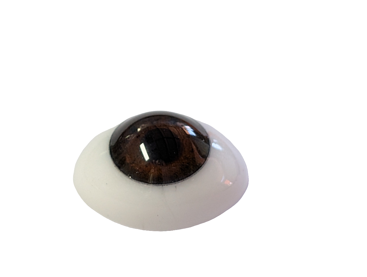 16mm Brown Oval Glass Eyes Reborn Baby Doll Making Supplies