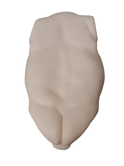 Torso Male Vinyl Belly and Back Unpainted