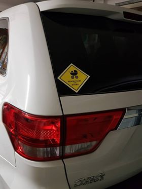 CAR STICKER Reborn Baby on Board Novelty