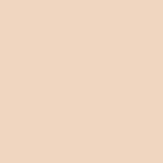 Phoenix Heat Set Paints 30ml Beige
