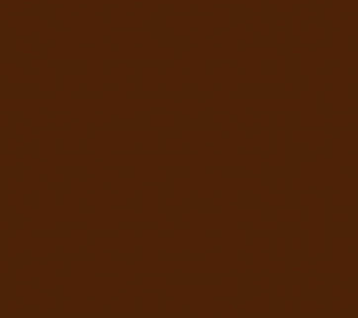 Phoenix Heat Set Paints 30ml Brown