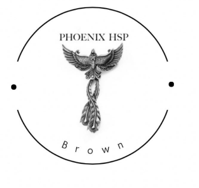 Phoenix Heat Set Paints 30ml Brown