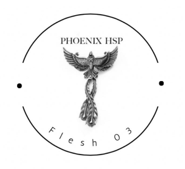 Phoenix Heat Set Paints 30ml Flesh 03