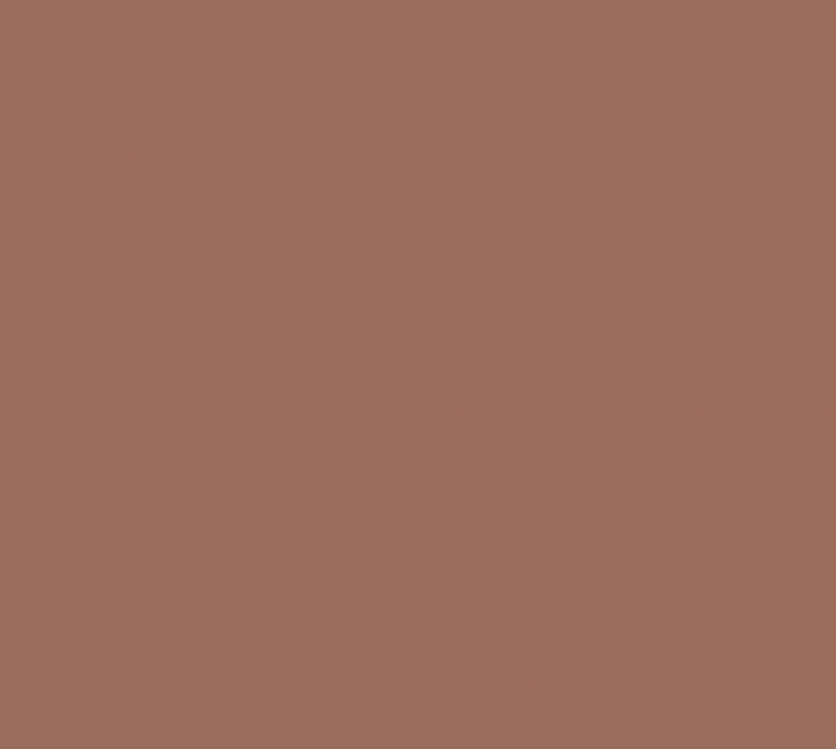 Phoenix Heat Set Paints 30ml Flesh 03