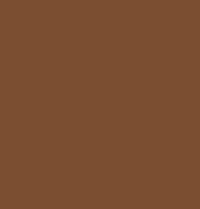 Phoenix Heat Set Paints 30ml Flesh 04