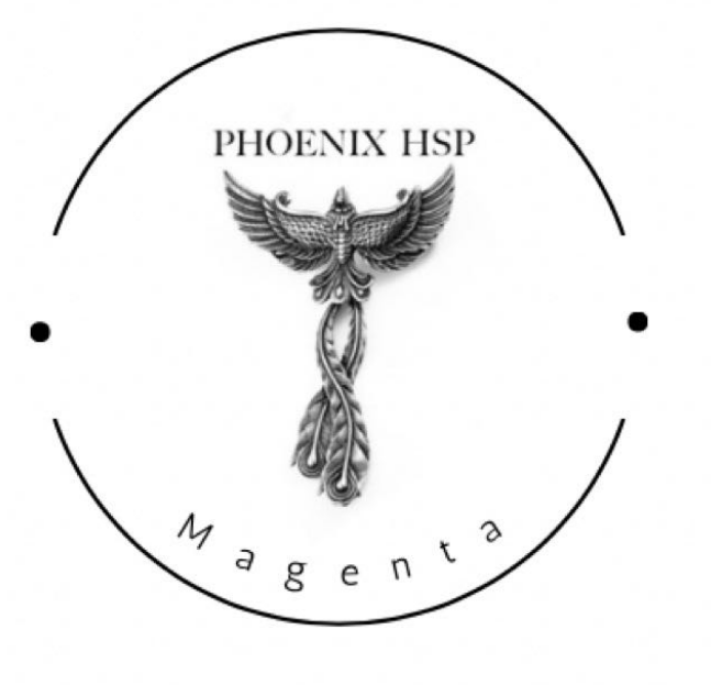 Phoenix Heat Set Paints 30ml Magenta