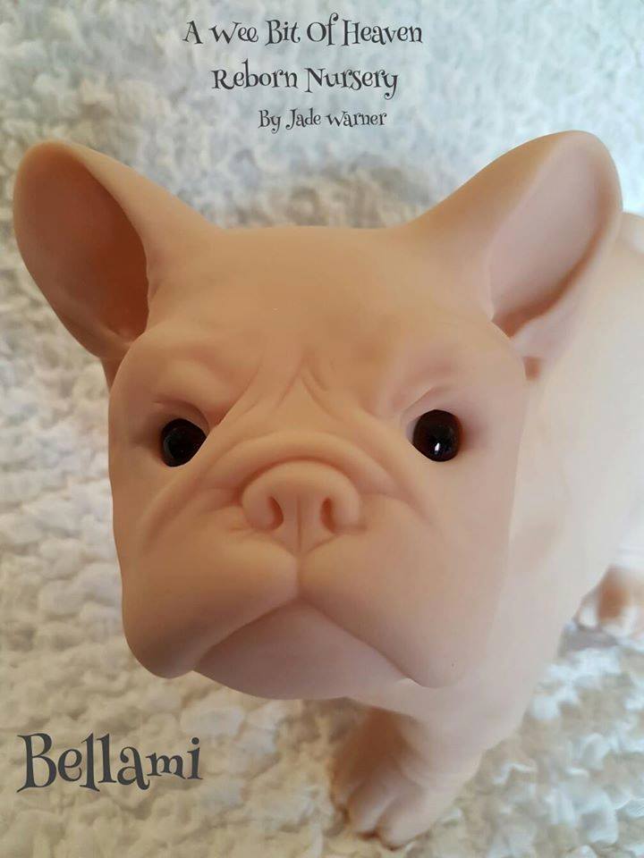 RARE Bellami the French Bulldog by Jade Warner SOLE Reborn