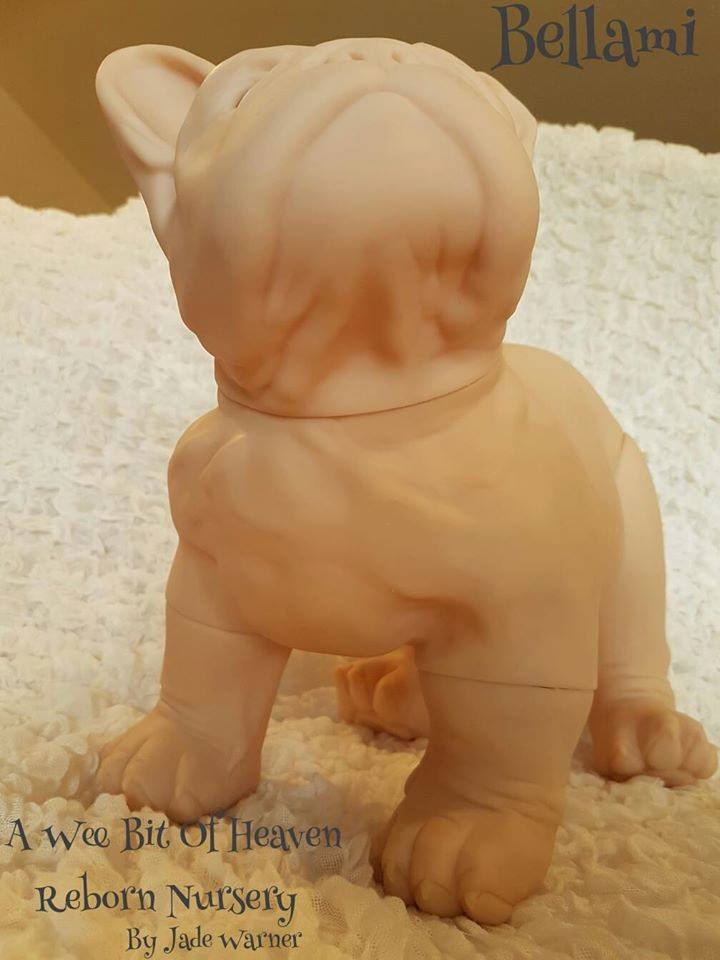 RARE Bellami the French Bulldog by Jade Warner SOLE Reborn