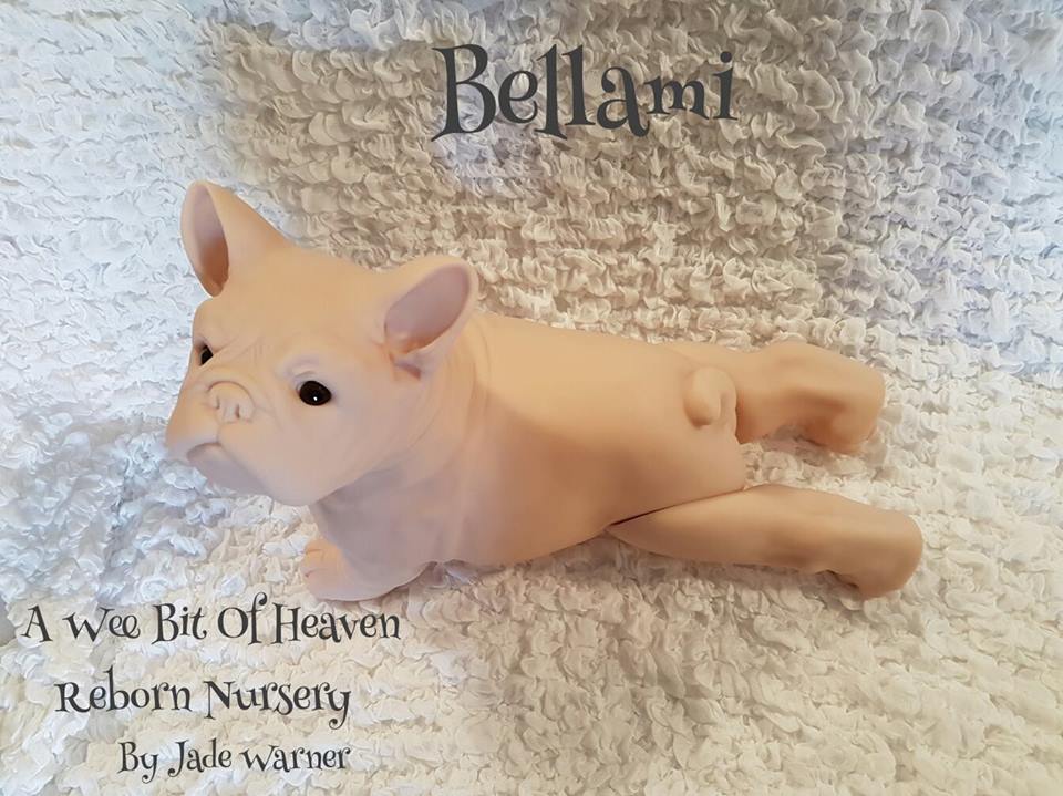 RARE Bellami the French Bulldog by Jade Warner SOLE Reborn