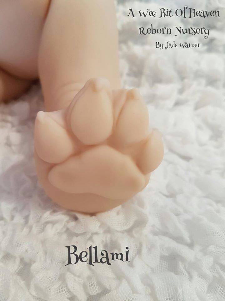 RARE Bellami the French Bulldog by Jade Warner SOLE Reborn