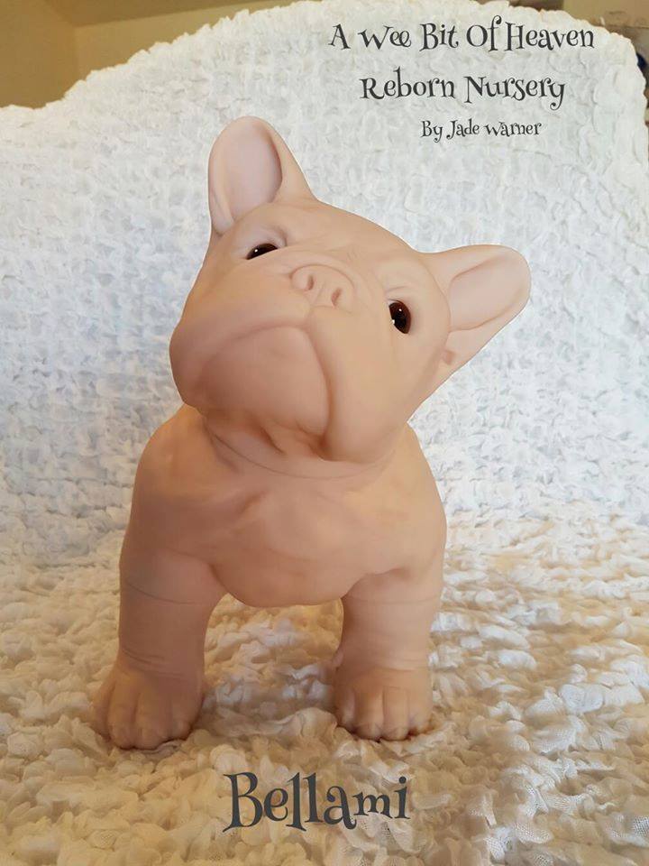 RARE Bellami the French Bulldog by Jade Warner SOLE Reborn