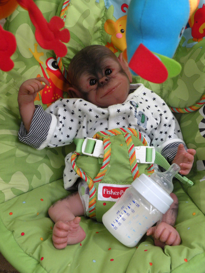 Chaz the Chimpanzee by Denise Pratt UNPAINTED DISCONTINUED