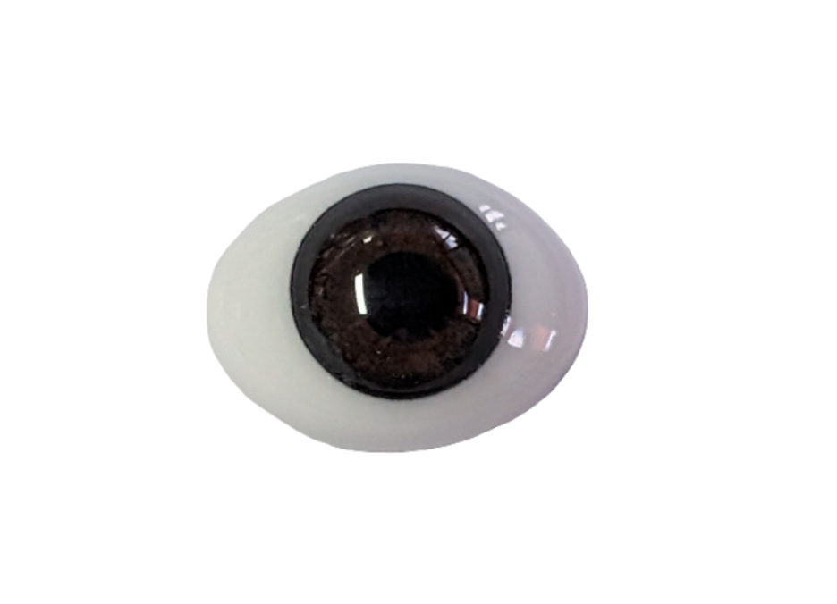 14mm Brown Oval Glass Eyes Reborn Baby Doll Making Supplies