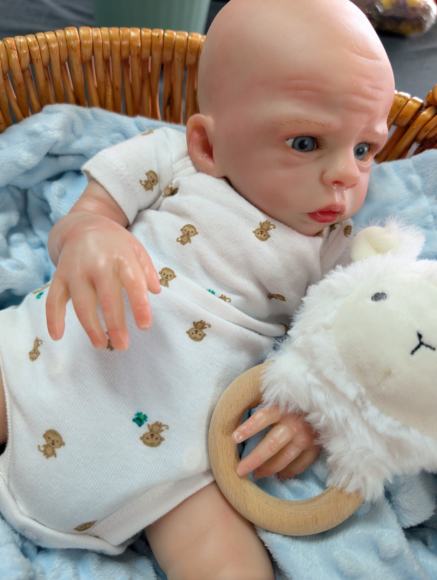 Beautiiful Little Baby Boy Reborn Baby Doll (  COMPLETED )