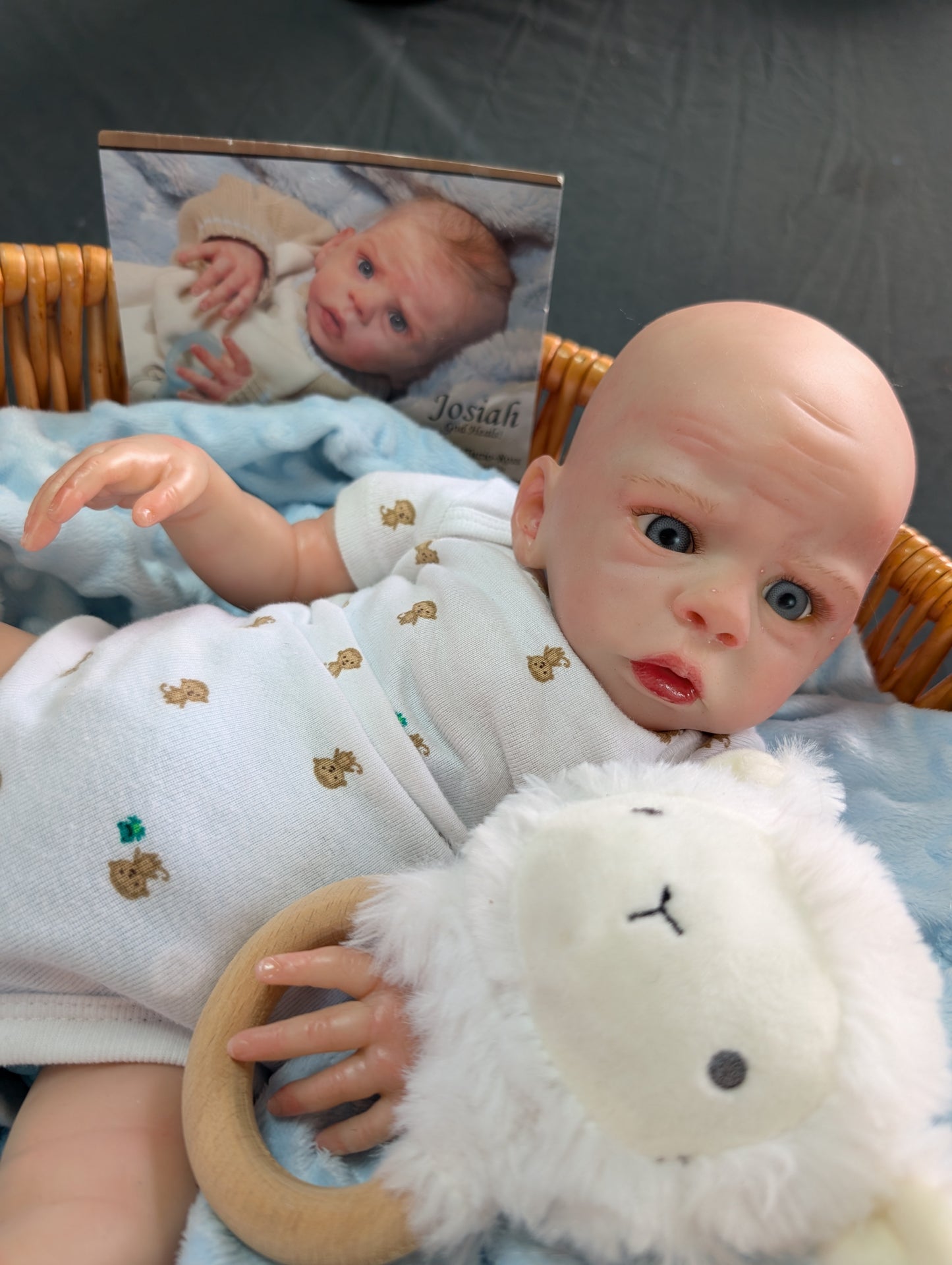 Beautiiful Little Baby Boy Reborn Baby Doll (  COMPLETED )