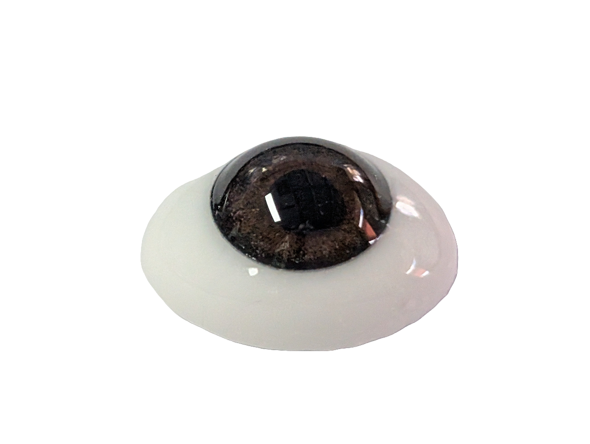 14mm Brown Oval Glass Eyes Reborn Baby Doll Making Supplies