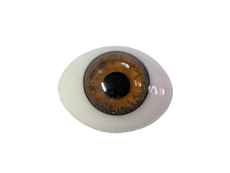 14mm Hazel Oval Glass Eyes Reborn Baby Doll Making Supplies