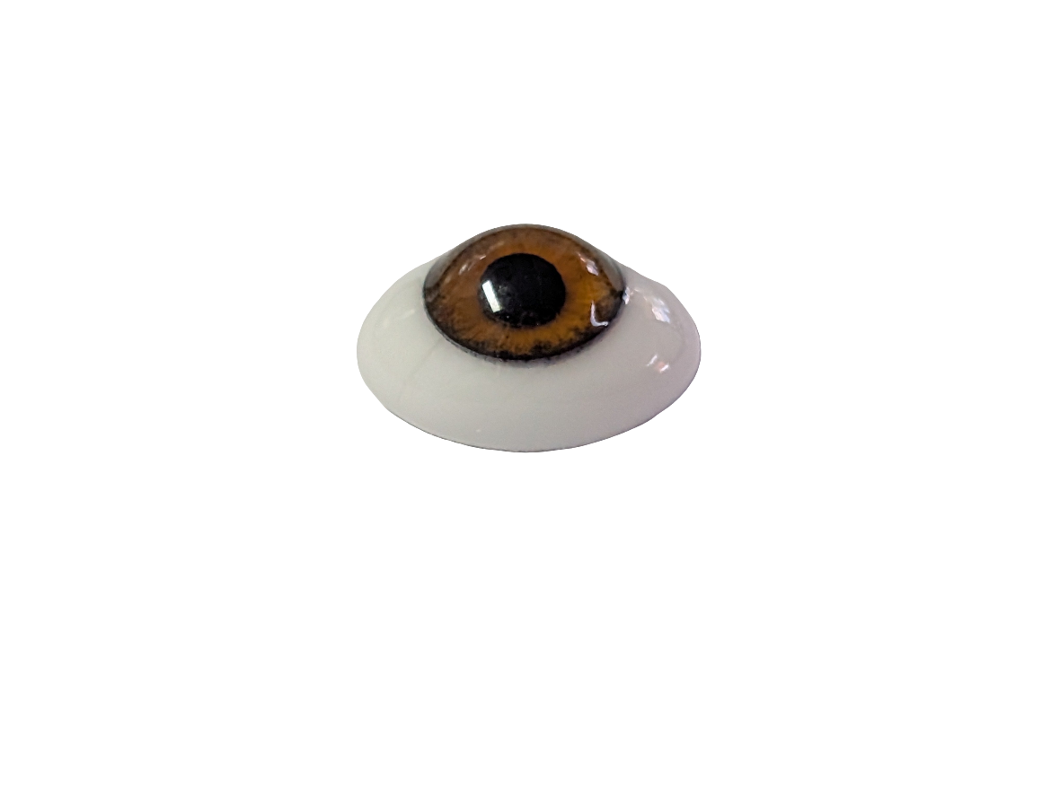 14mm Hazel Oval Glass Eyes Reborn Baby Doll Making Supplies