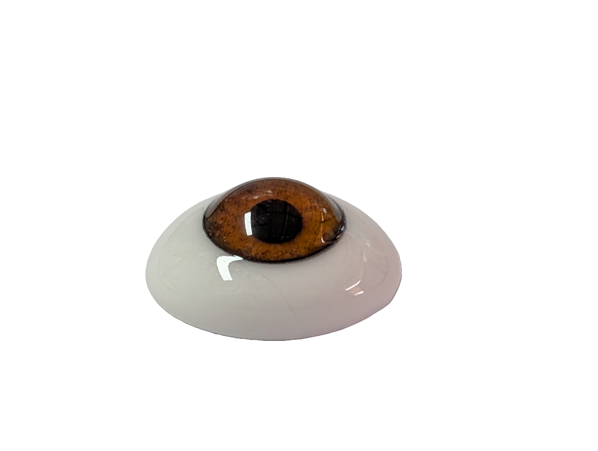 20mm Hazel Oval Glass Eyes Reborn Baby Doll Making Supplies