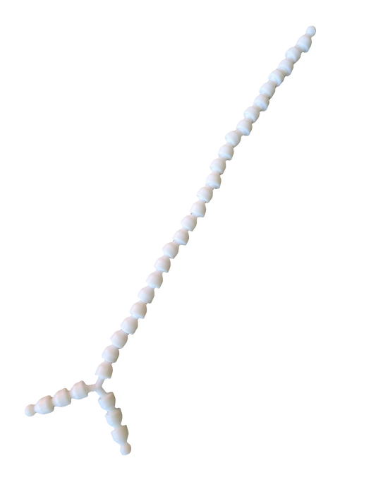 Armature ~ Skeleton ~ Spine with Pelvis Bone