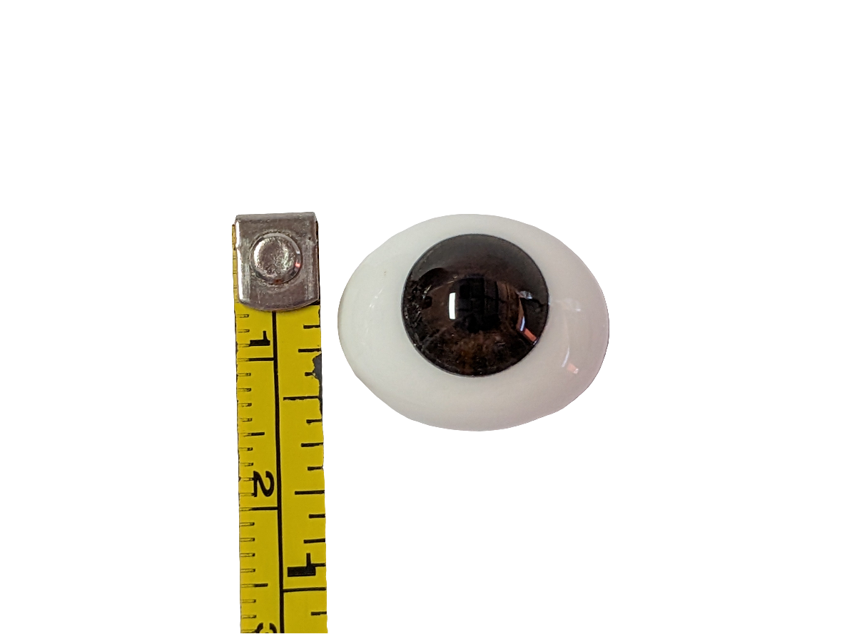 18mm Brown Oval Glass Eyes Reborn Baby Doll Making Supplies