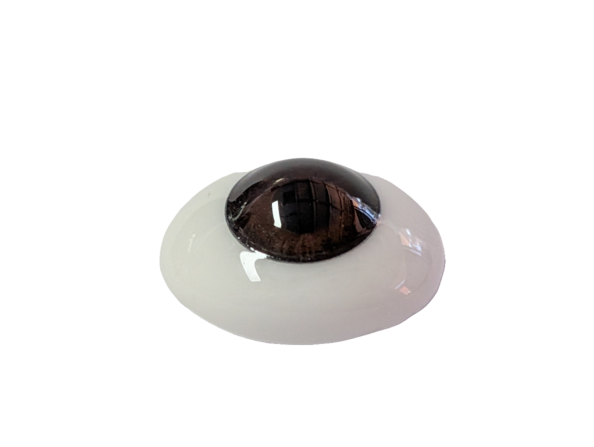 18mm Brown Oval Glass Eyes Reborn Baby Doll Making Supplies