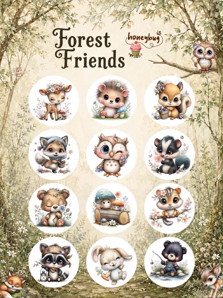 Honeybug Sprinkles Pacifier Smooches Dummy Forest Friends Stickers Reborn