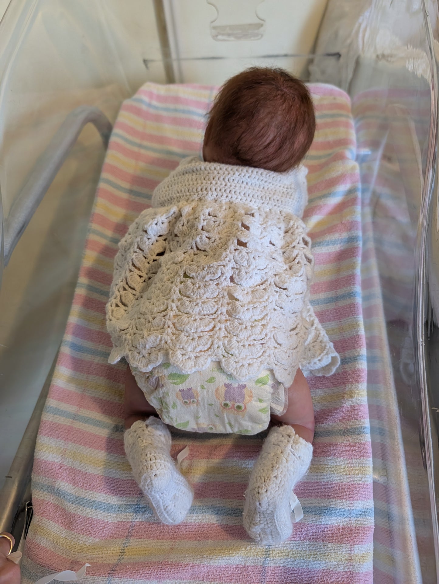 Adorable Odessa by L.L.E Reborn Baby Doll (  COMPLETED ) BRAND NEW