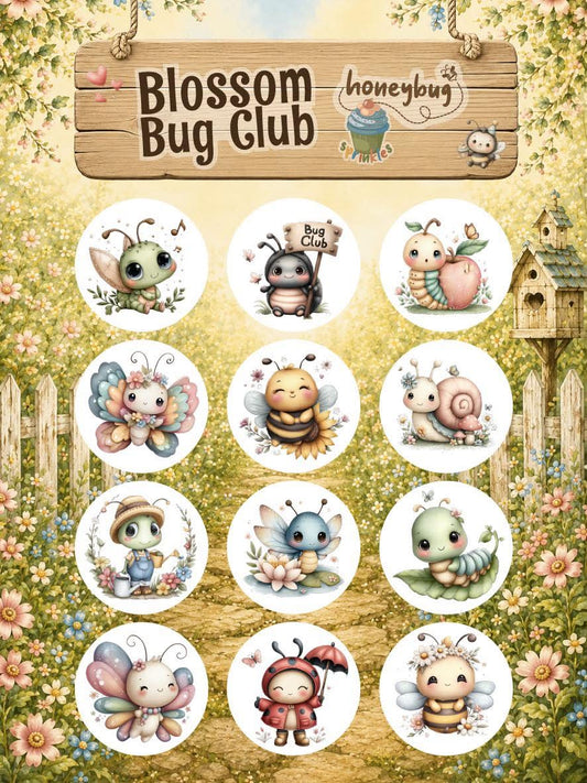 Honeybug Sprinkles Pacifier Smooches Dummy Blossom Bug Club Stickers Reborn Baby
