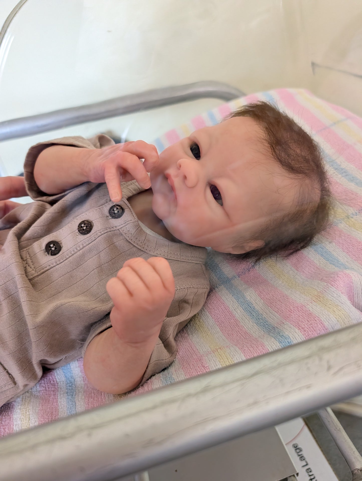 Taite Full Body Silicone Baby Boy (  COMPLETED )