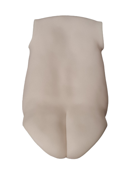 Torso Female Vinyl Belly and Back Unpainted
