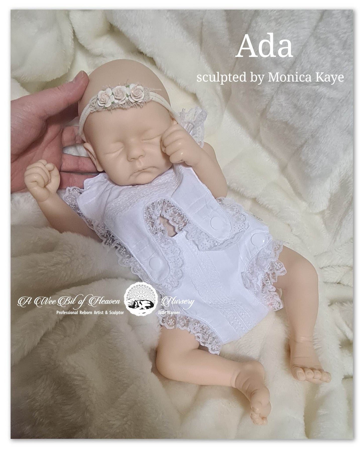 Ada Reborn Sculpt Sculpted by Monica Kaye (MK.ArtDolls)