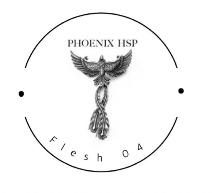 Phoenix Heat Set Paints 30ml Flesh 04