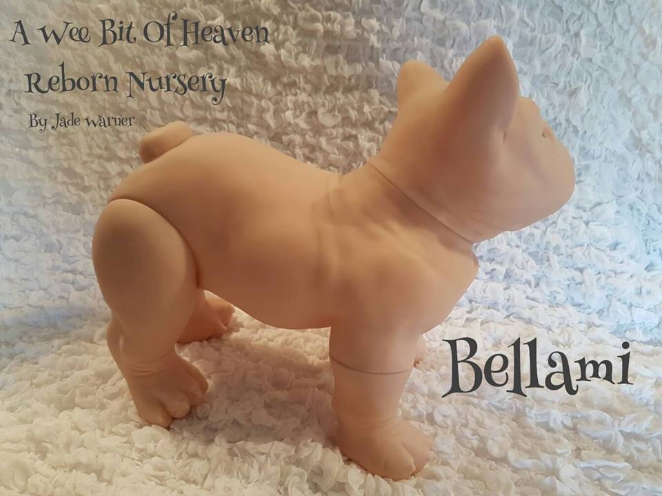 RARE Bellami the French Bulldog by Jade Warner SOLE Reborn