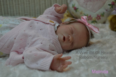 RARE Melinda By Jade Warner 15" Ltd Ed Reborn Baby SOLE