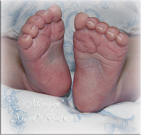 Morgan by Aleina Peterson  19" KIT ONLY Reborn Baby UNPAINTED
